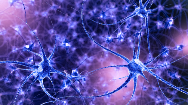Neuroscientists Turn Normal Neurons Into Regenerating Ones